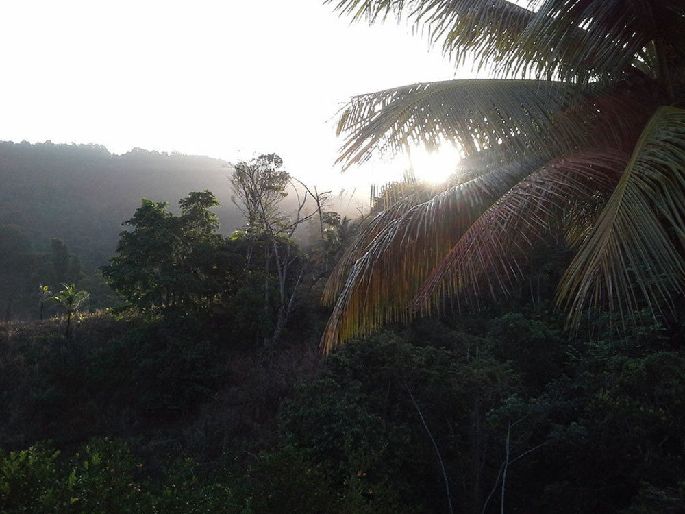 Las Cuevas Beach Lodge מראה חיצוני תמונה