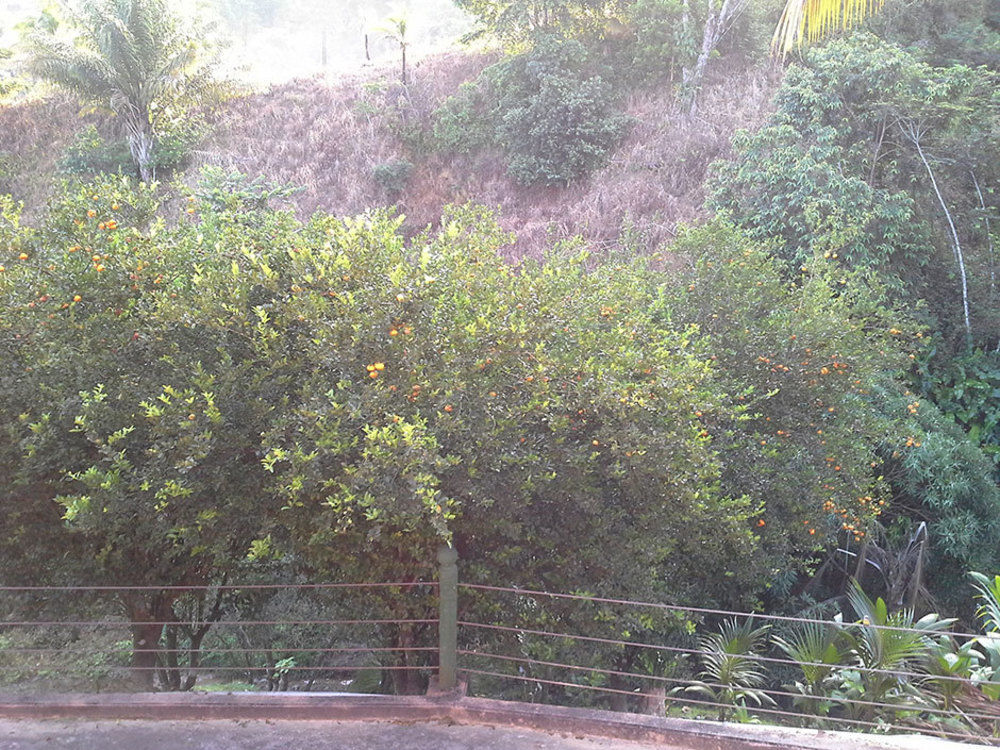 Las Cuevas Beach Lodge מראה חיצוני תמונה