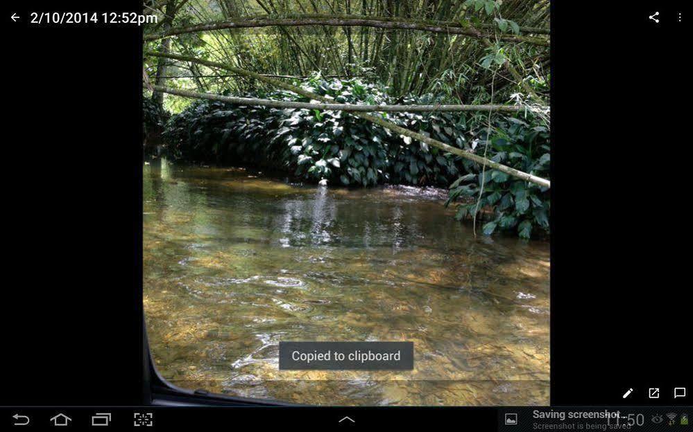 Las Cuevas Beach Lodge מראה חיצוני תמונה