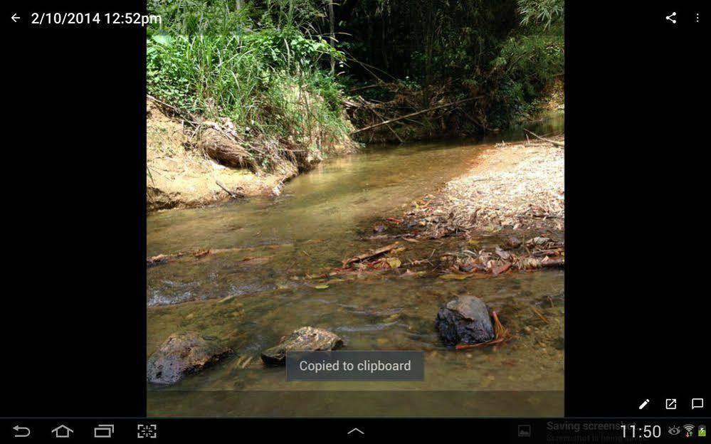 Las Cuevas Beach Lodge מראה חיצוני תמונה
