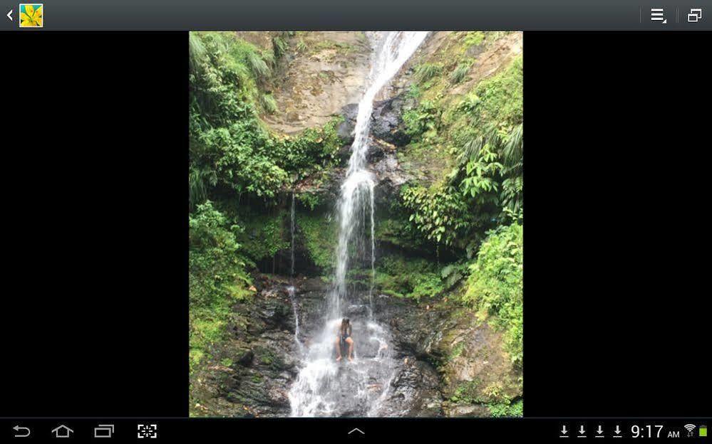 Las Cuevas Beach Lodge מראה חיצוני תמונה