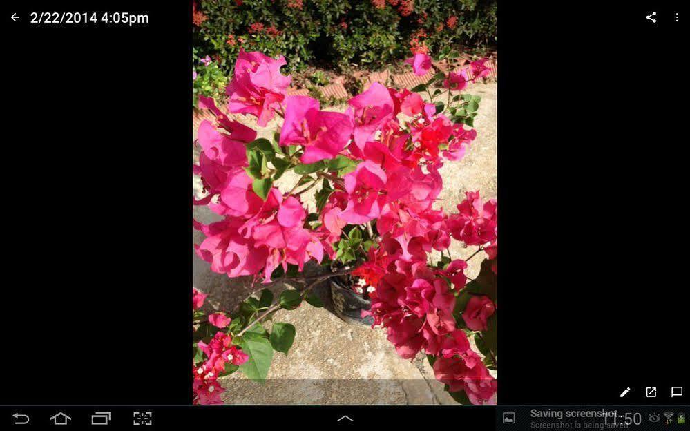 Las Cuevas Beach Lodge מראה חיצוני תמונה